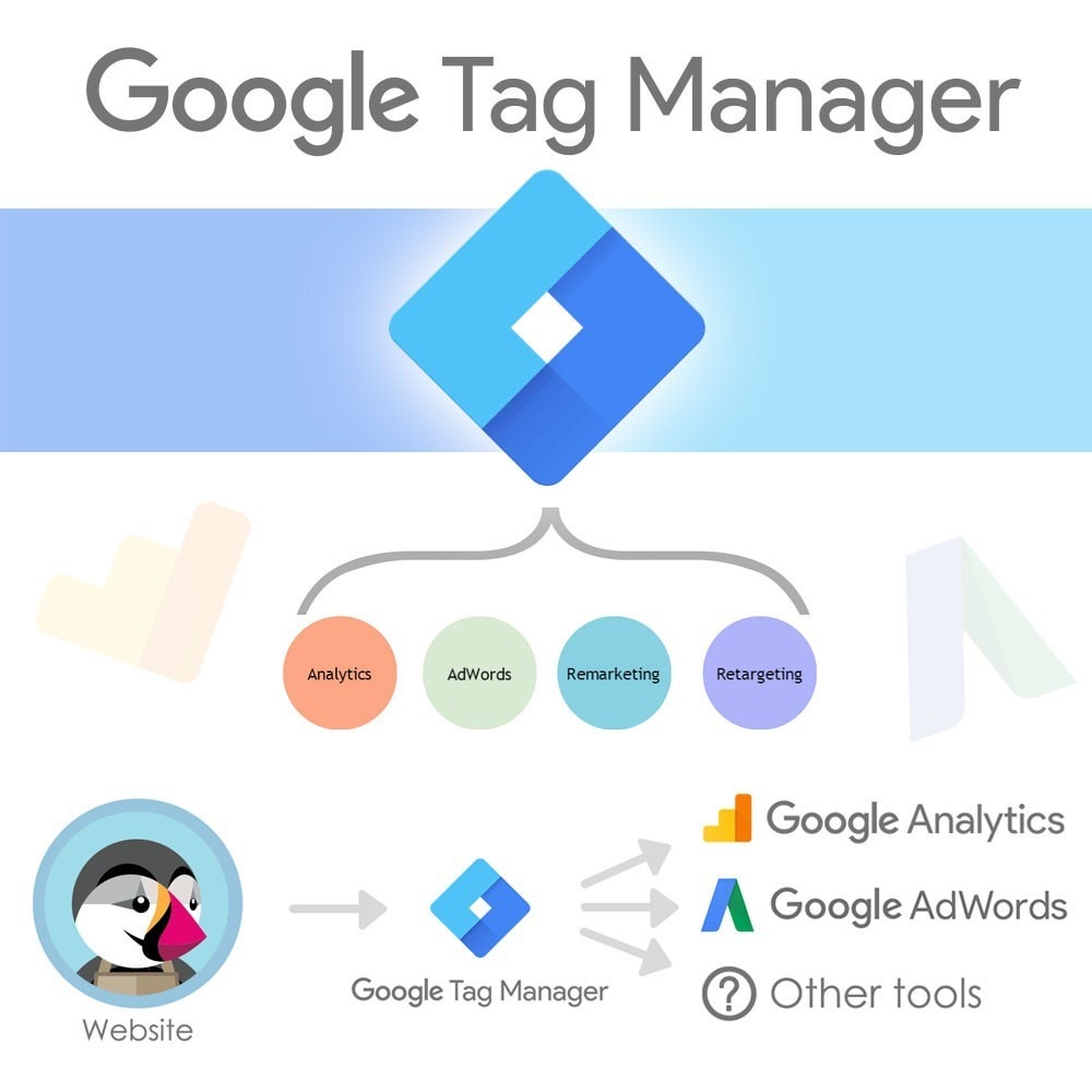 Module Google Tag Manager Integration