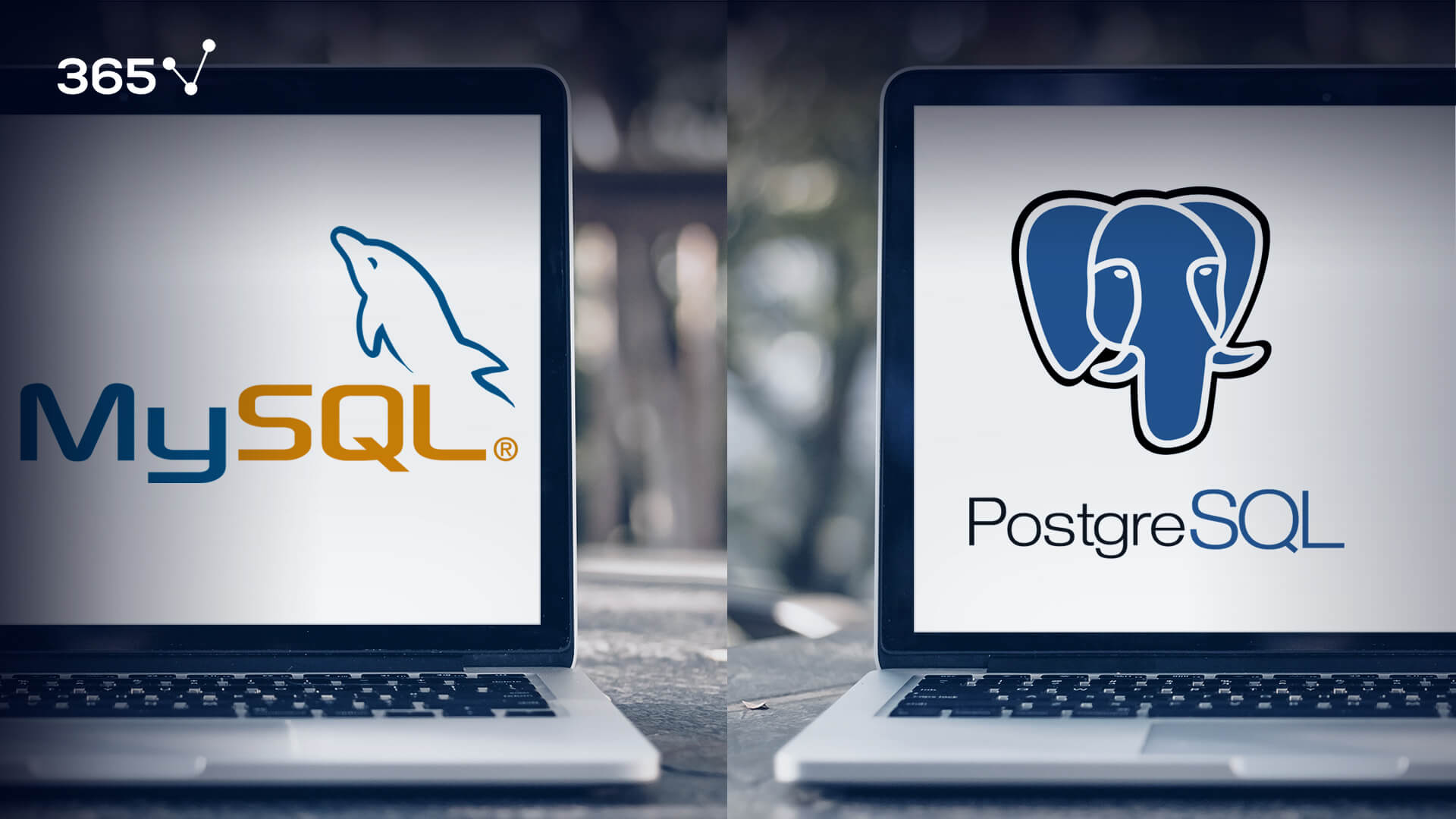 Différence entre MySQL et PostgreSQL