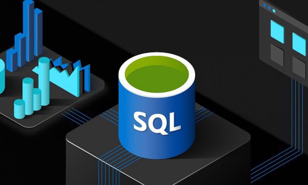 Les différents types de données dans SQL
