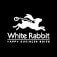 Module White Rabbit All in One Suite plug-in
