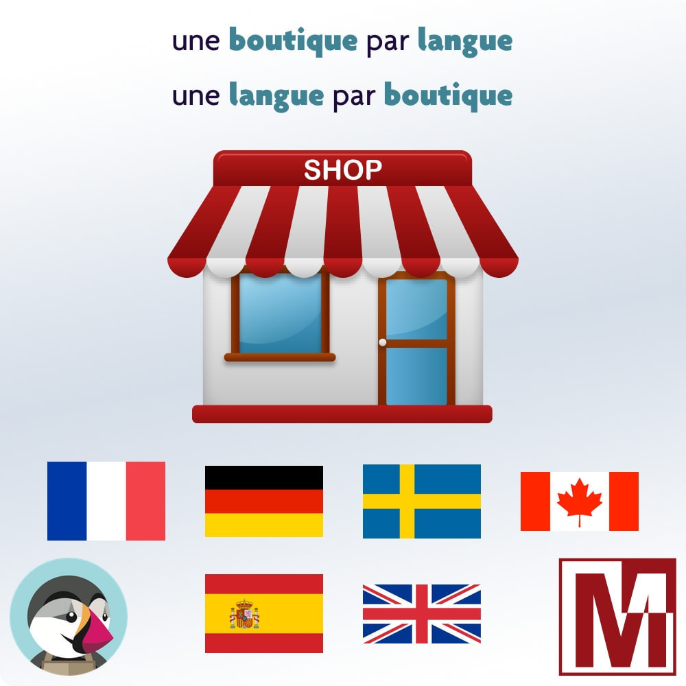 Module Une boutique par langue, une langue par boutique