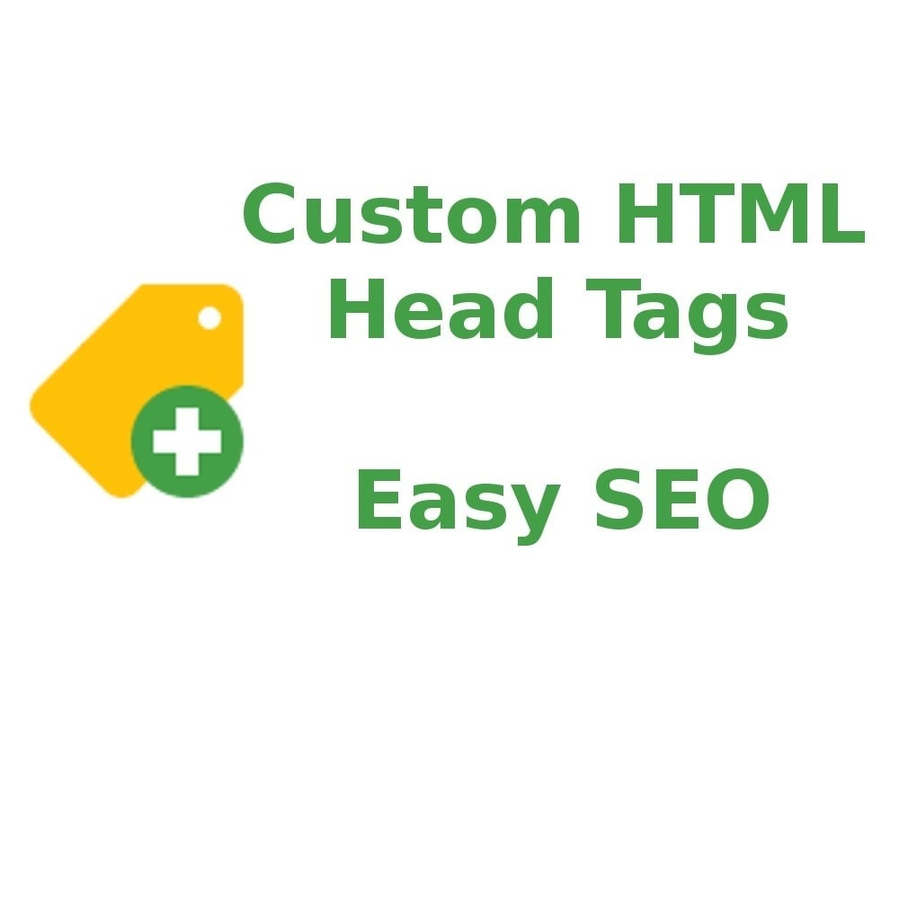 Module Custom HTML Head Tags