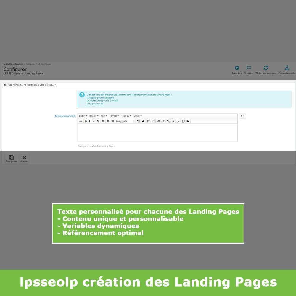 Module SEO Dynamic Landing Pages