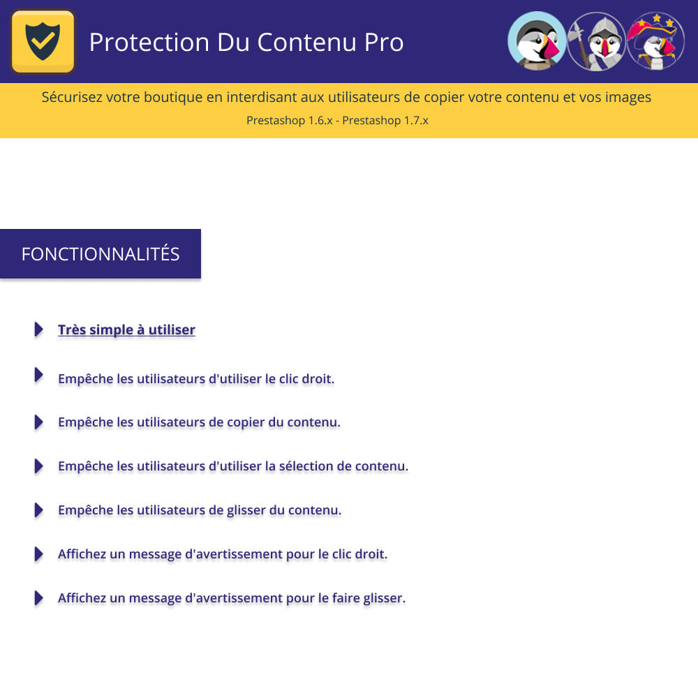 Module Protection De Contenu Pro - Protéger votre contenu