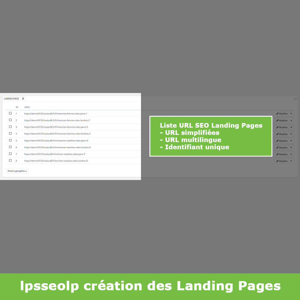 Module SEO Dynamic Landing Pages