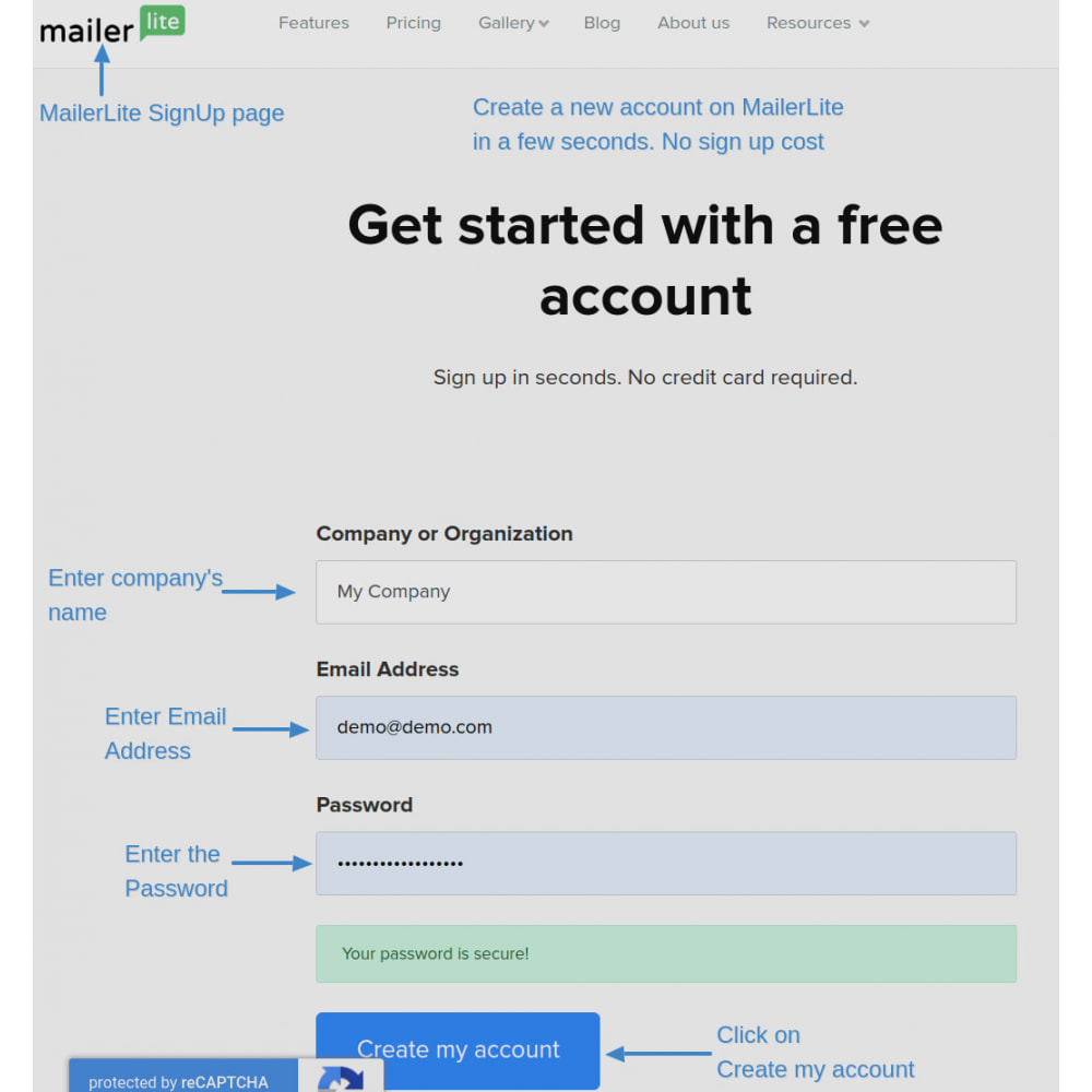 Module Automatically subscribe MailerLite Subscription