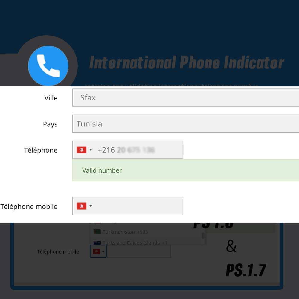 Module International Phone Indicator