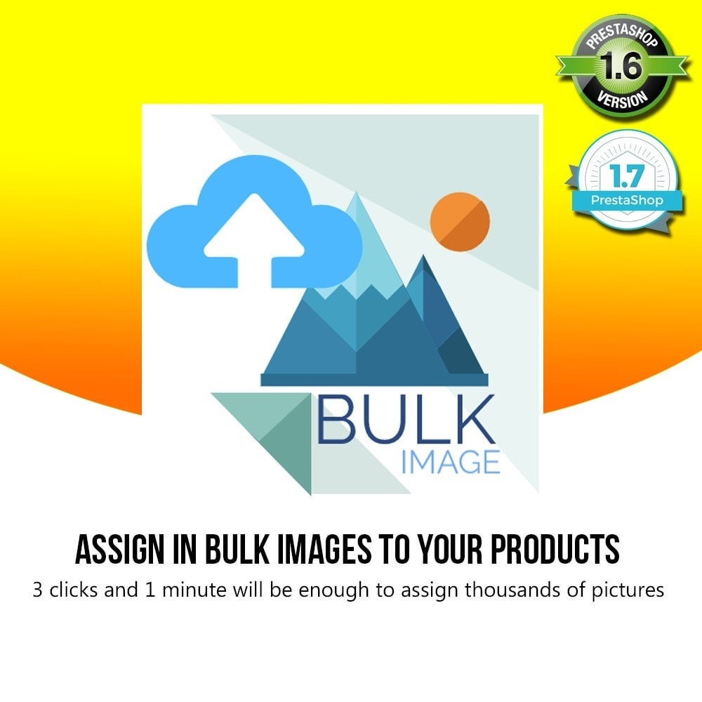 Module Bulk Product Image Importer