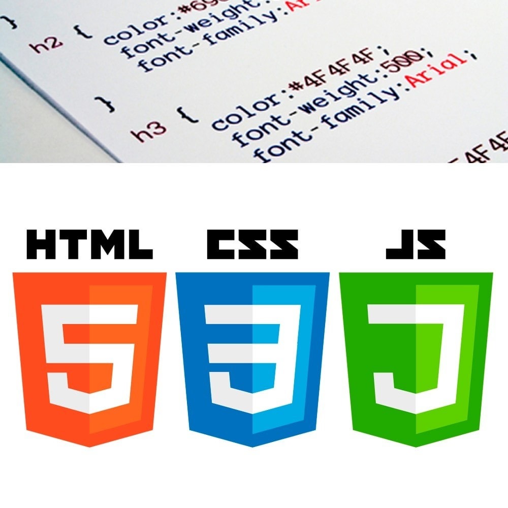 Module Simple Custom CSS and JavaScript
