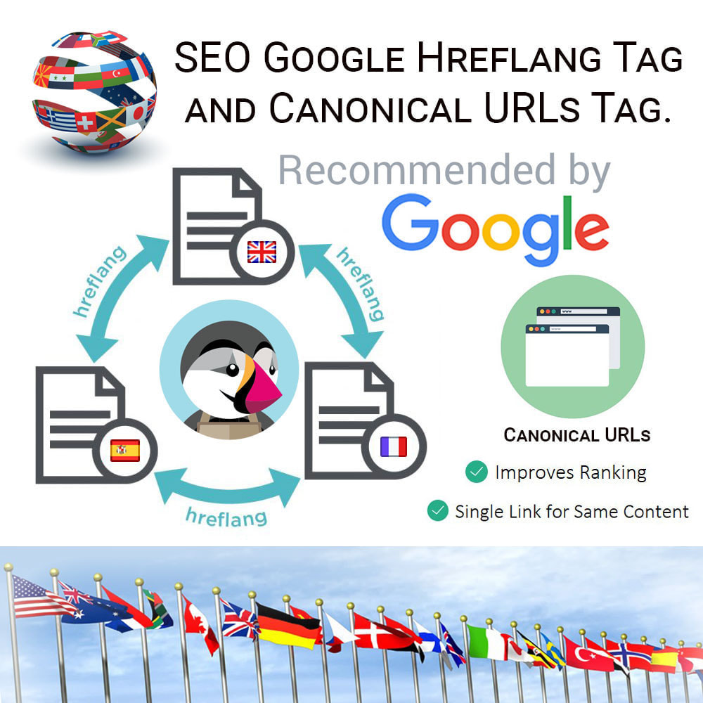 Module SEO Google Hreflang Tag and Canonical URLs Tag