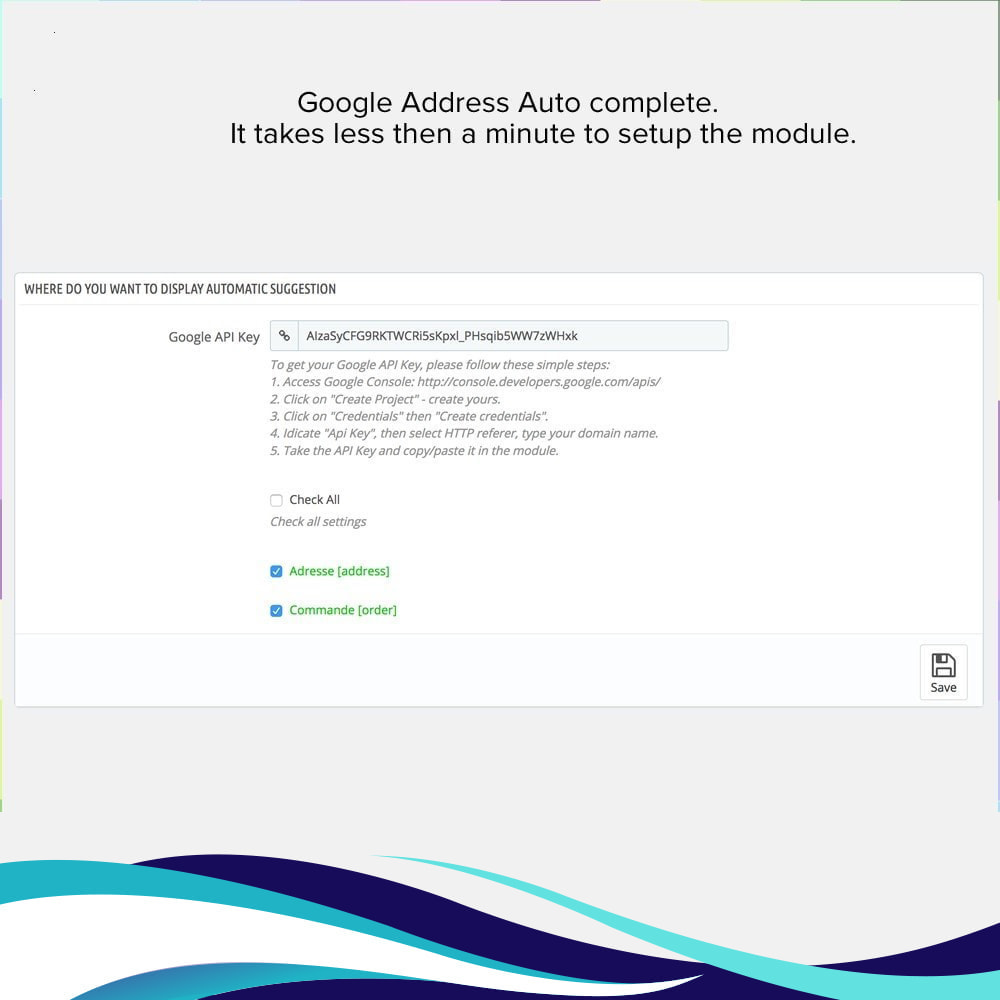 Module Google Address Autocomplete