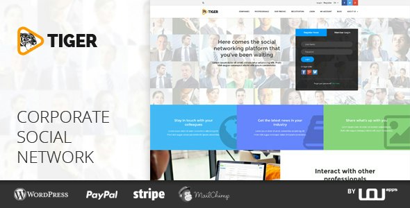 TIGER – Social Network Theme for Companies &amp; Professionals